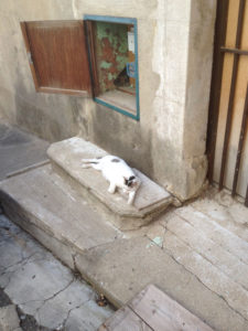 The village’s stray cats can roam the streets, like this little guy in Corneilhan in 2015, but people must produce an official government form if they want to join them. 
