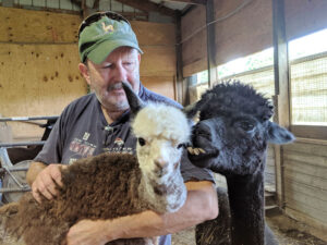 Tartan Acres, an alpaca farm, which also operates a B&B. It sells alpaca 