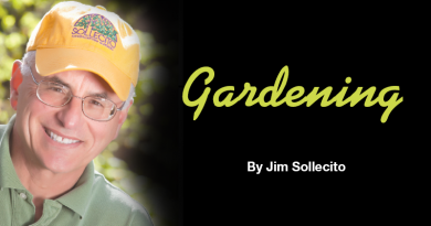 Always Learning Gardening