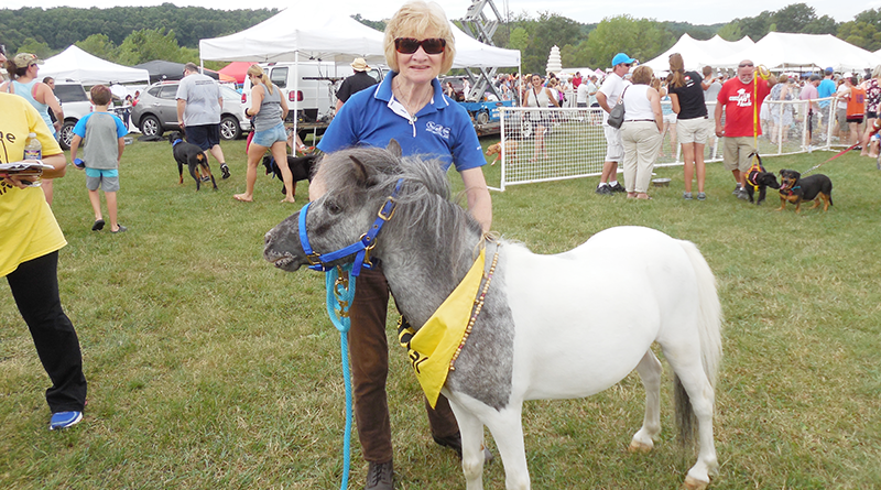 TV personality Laura Hand next to a pony during an event last year. She rides horses on a regular basis, nearly every day — even in the winter.