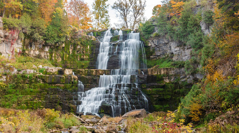 Chittenango Falls State Park in Chittenango features a 167-foot waterfall and gorge trail.
