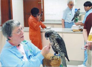 Molly holds a falcon in the United Arab Emirates, date unknown.