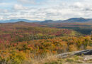 Best Bets for Local Leaf Peeping