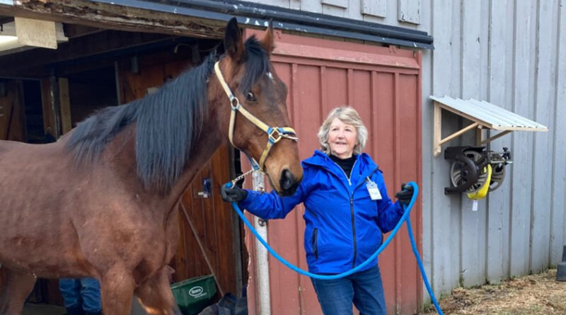 Helping Horses, Helping People —  For 20 Years, and Counting